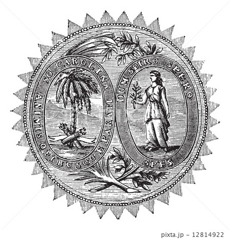 Great seal or hallmark of South Carolina vintage engraving 12814922