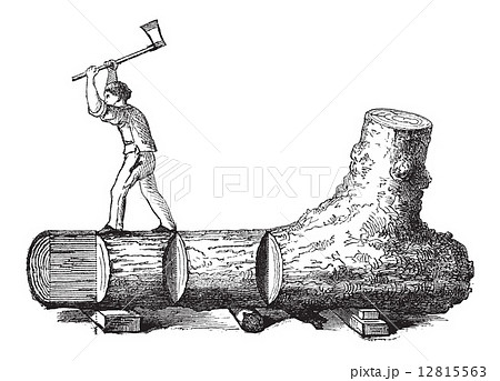 How a Tree is Made into Lumber, vintage engraving How a Tree is Made into Lumber, vintage engraving 12815563