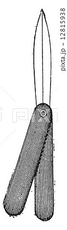 Scalpel or lancet, vintage engraving. 12815938