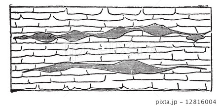 Geological Vein, vintage engraved illustration. 12816004