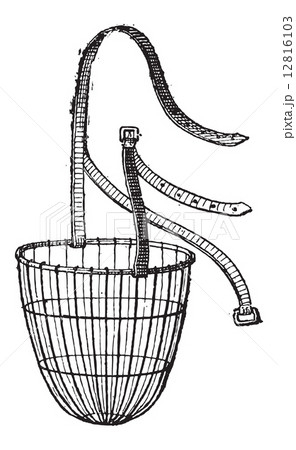 Muzzle, vintage engraving 12816103