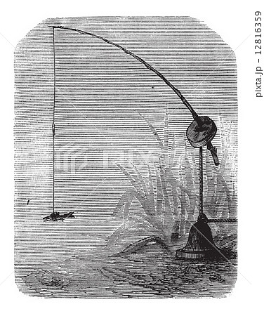 Mounted Bricole, vintage engraving Mounted Bricole, vintage engraving 12816359