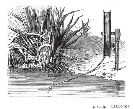 Mounted Bricole with Reel, vintage engraving 12816407