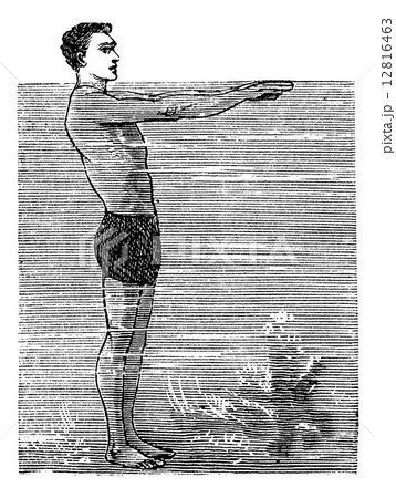 Breaststroke, Second Position, vintage engraved illustration Breaststroke, Second Position, vintage engraved illustration 12816463