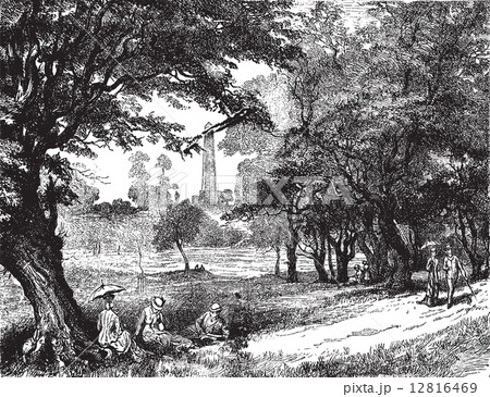 View of Phoenix Park, vintage engraving. 12816469