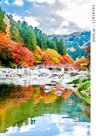 香嵐渓の紅葉 12816561