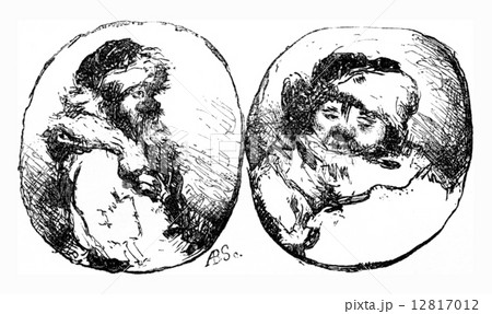 A carter and a peasant in Estonia, vintage engraving. A carter and a peasant in Estonia, vintage engraving. 12817012