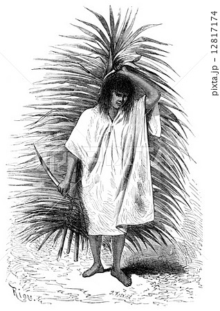 Man carrying a palm frond and knife, vintage engraving. Man carrying a palm frond and knife, vintage engraving. 12817174