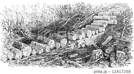 The wagon road, vintage engraving. 12817208