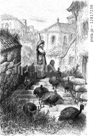 Pave a (airs turkeys), Salamanca campaign, vintage engraving. 12817236