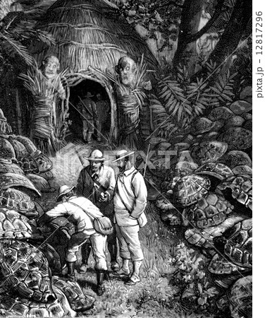 New Guinea. It has managed the house of the devil by an allee tu 12817296