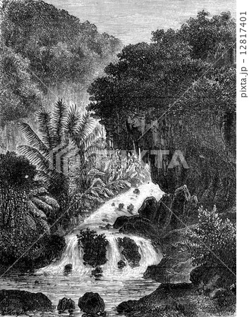 Cataract in Ambon, vintage engraving. 12817401