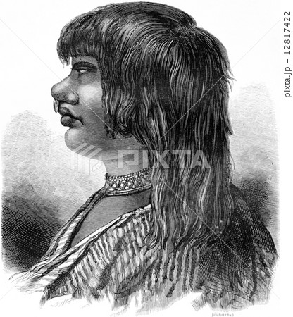 Type of Indian Sensi, vintage engraving. 12817422