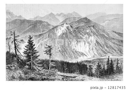 Bialki Valley in Tatra, Poland, vintage engraving 12817435