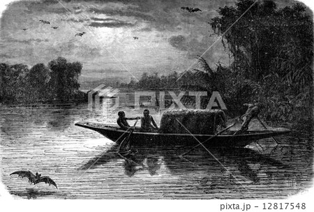 Mouth of Cauca, vintage engraving. 12817548