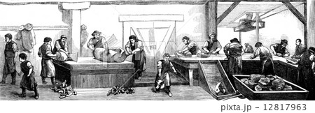 Deli Cincinnati. The slaughter of pigs, vintage engraving. Deli Cincinnati. The slaughter of pigs, vintage engraving. 12817963