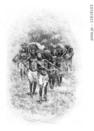 Troop of Girls Carrying Baskets in Angola, Southern Africa, vint 12818103