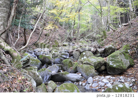 野麦峠の渓流 12818231