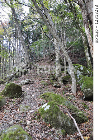 野麦峠の渓流 12818233