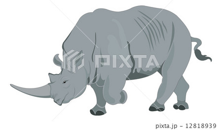 Rhinoceros Or Rhinocerotidae Illustrationのイラスト素材