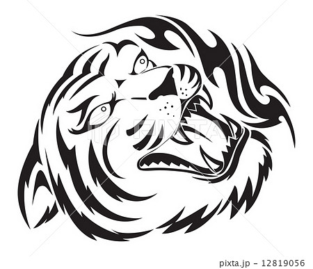 Roaring tiger tattoo, vintage engraving. 12819056