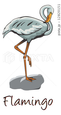Flamingo, Color Illustration 12820151