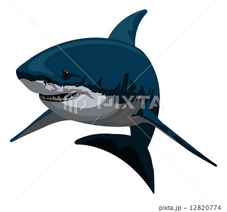 Shark, illustration 12820774