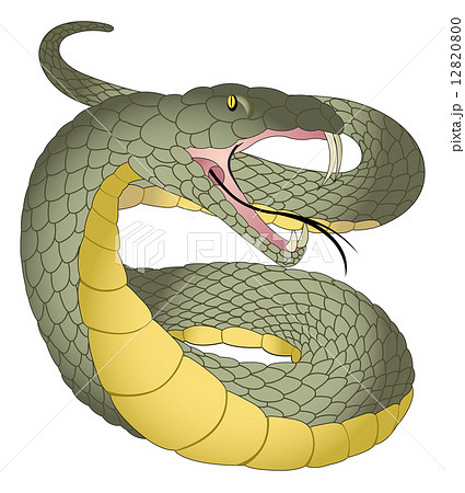 Snake, illustration Snake, illustration 12820800