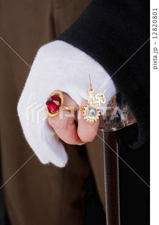 Magician Hands with Gloves and Rings Magician Hands with Gloves and Rings 12820801