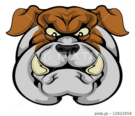Bulldog mascot face 12822058