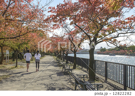 秋の桜ノ宮公園 秋の桜ノ宮公園 12822282