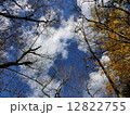 秋の空 12822755