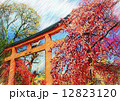 平野神社 鳥居 絵画風 12823120