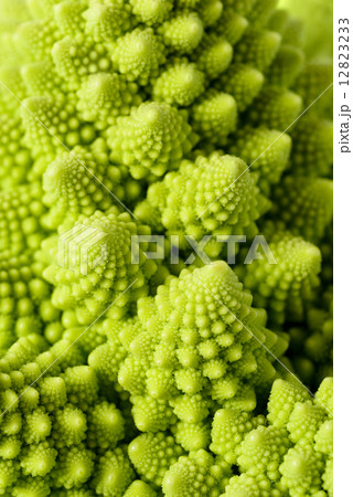 Romanesco broccoli 12823233