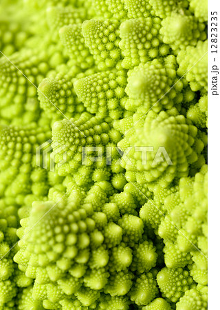 Romanesco broccoli Romanesco broccoli 12823235