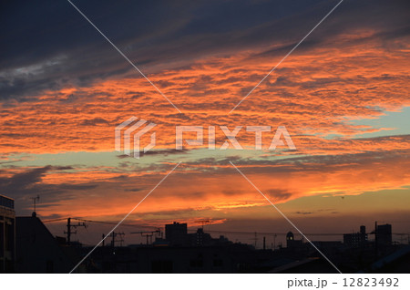 夕焼け小焼け(江戸川右岸の土手/東京都葛飾区) 夕焼け小焼け(江戸川右岸の土手/東京都葛飾区) 12823492