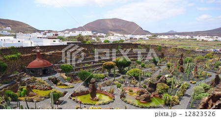 Beautiful cactus park on Lanzarote island Beautiful cactus park on Lanzarote island 12823526