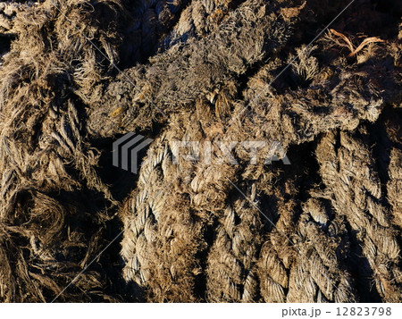 Coil of old rope 12823798