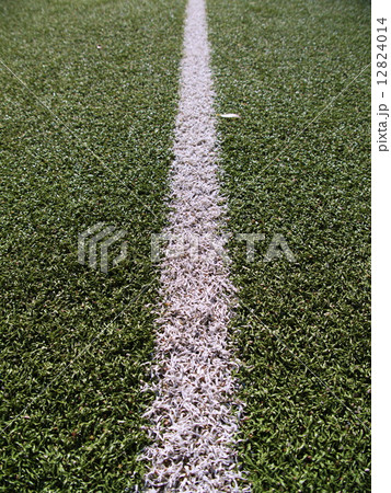 Soccer field grass on the green Soccer field grass on the green 12824014