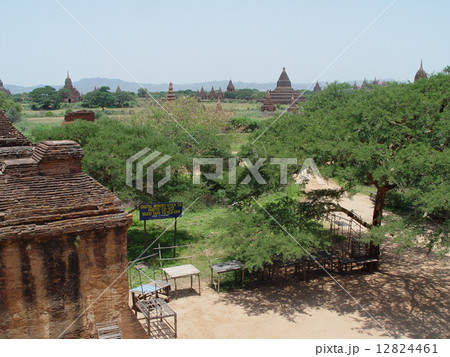 平原に林立するパゴダ群(バガン/ミャンマー) 平原に林立するパゴダ群(バガン/ミャンマー) 12824461