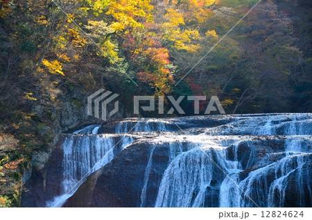 茨城県指定名勝　袋田の滝　～晩秋の～ 12824624