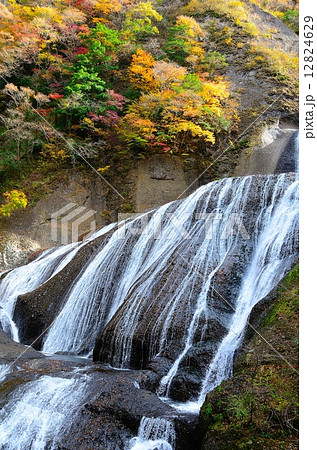 茨城県指定名勝　袋田の滝　～晩秋の～ 12824629