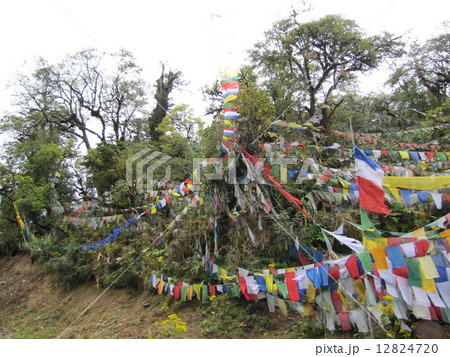 ペレ峠のルンタ 12824720