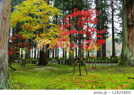 雲洞庵 ~晩秋~ 雲洞庵 ~晩秋~ 12824800