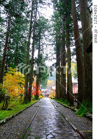 雲洞庵 ~晩秋~ 雲洞庵 ~晩秋~ 12824803