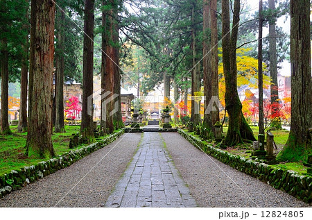 雲洞庵　～晩秋～ 12824805