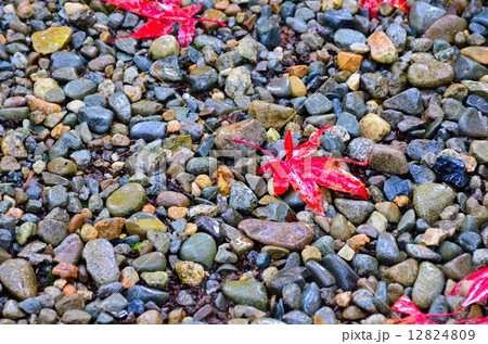 雲洞庵 ~晩秋~ 雲洞庵 ~晩秋~ 12824809