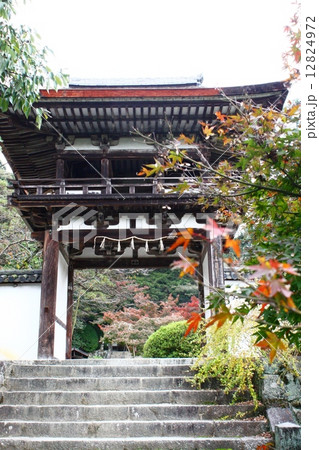 長岳寺 長岳寺 12824972