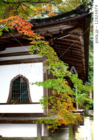 長岳寺 12824974