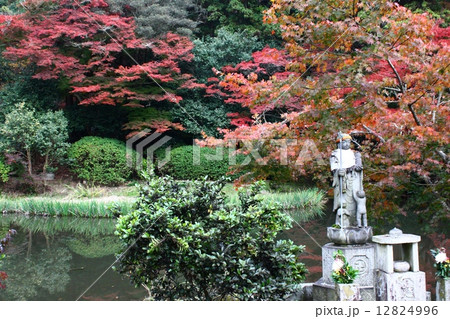 長岳寺 長岳寺 12824996